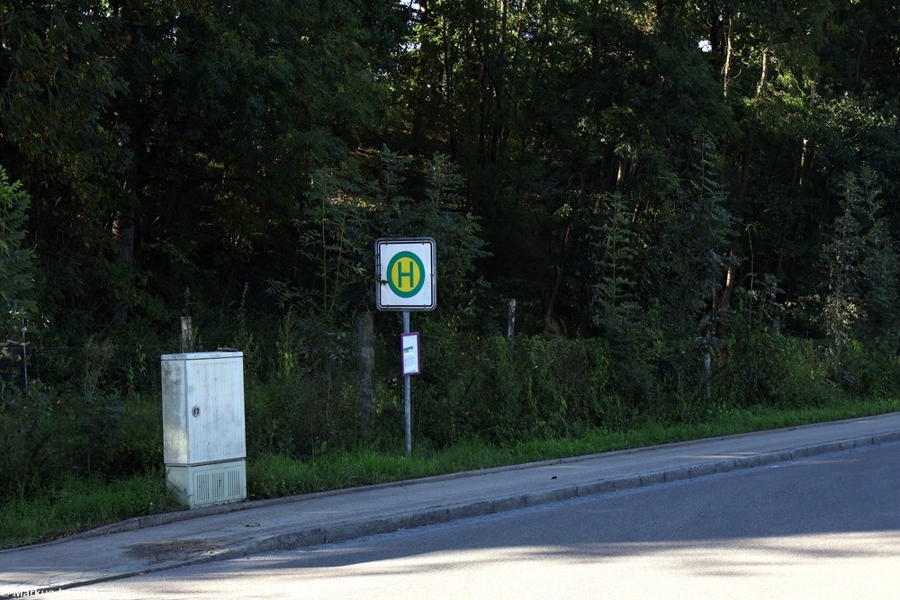 Haltestelle: Reisgang, Posthofstr./Mühlweg