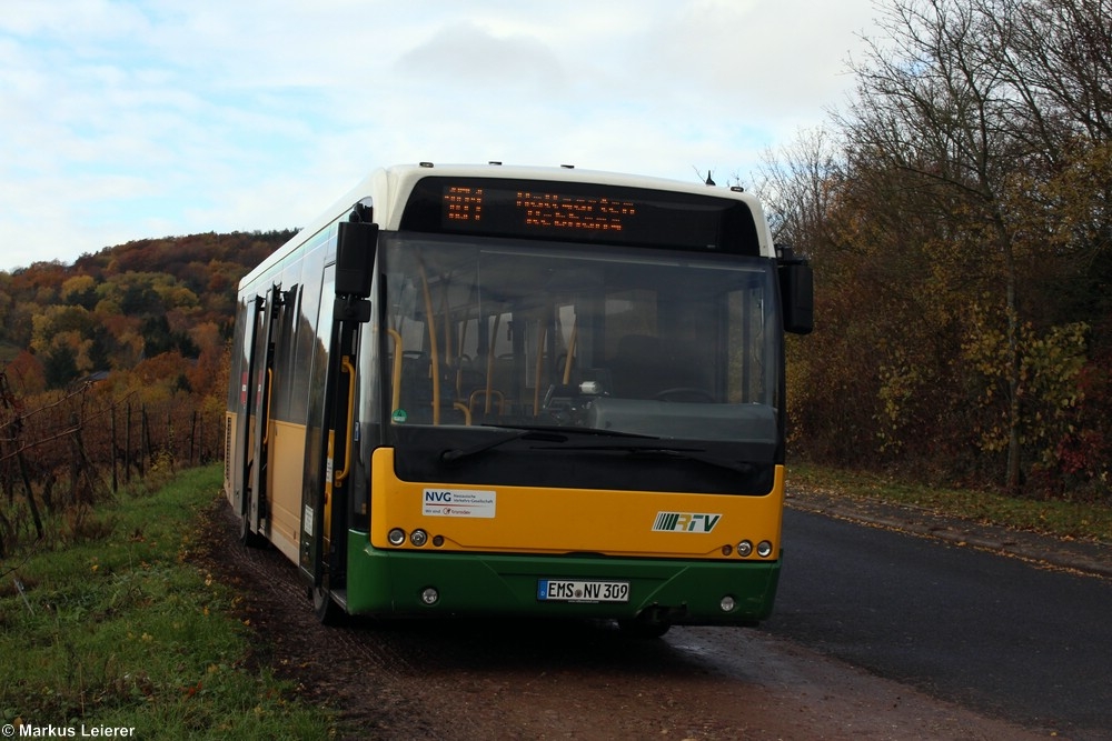 EMS-NV 309 | Oestrich-Winkel, Aulweg