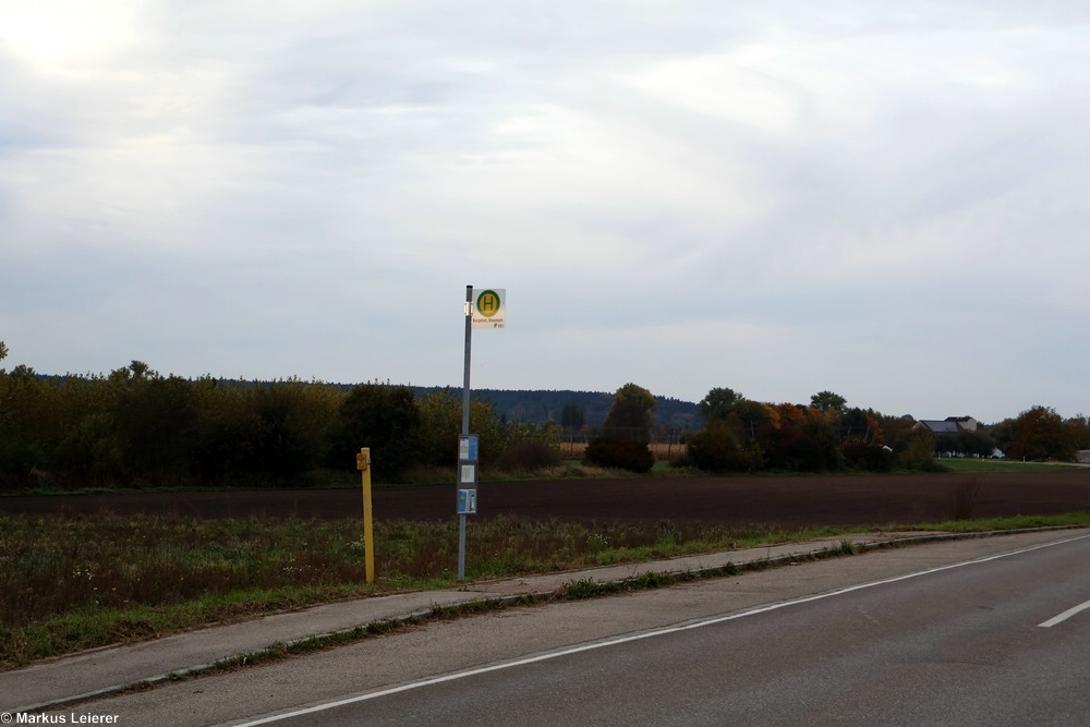 Haltestelle: Burgstall, Staatsstraße