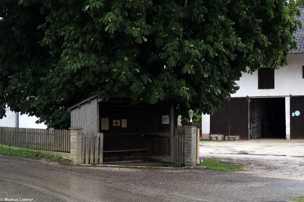 Haltestelle: Niederthann, Niederthann