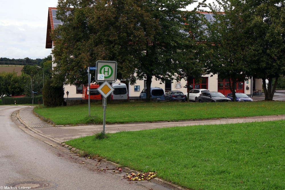 Haltestelle: Dürnzhausen, Maibaum