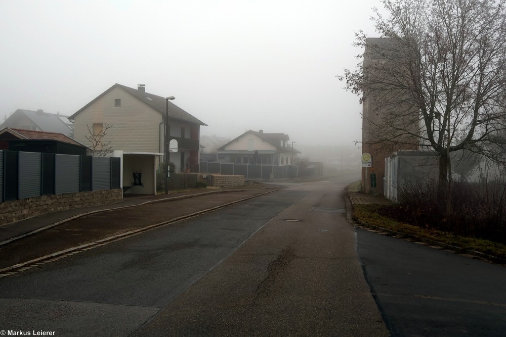 Haltestelle: Wintershof, Prinz-Max-Straße