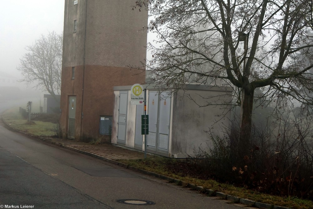 Haltestelle: Wintershof, Prinz-Max-Straße