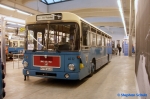 Omnibusclub München M-YN 4432 | MVG-Museum