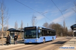 Autobus Oberbayern M-AU 2649 | Cosimabad