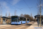 Münchner Linien M-BP 381 | Cosimabad