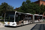IN-VG 1807 | ZOB