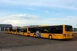Alle 4 neuen Busse