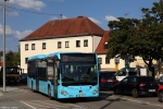 SOB-SP 7 | Neuburg, Hofgarten