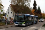 IN-VG 2228 | Wallmeisterstraße